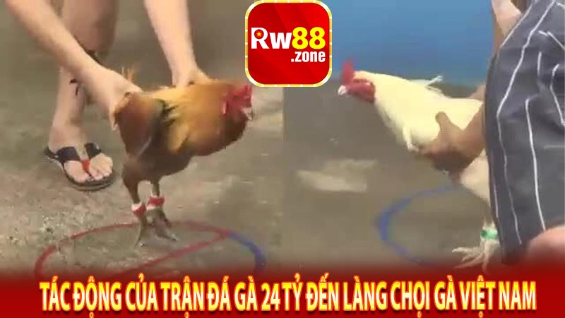 Tác động của trận đá gà 24 tỷ đến làng chọi gà Việt Nam