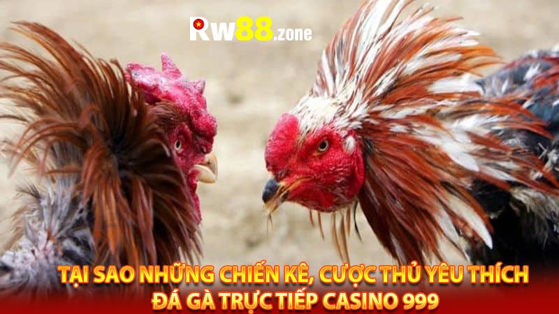 Tại sao những chiến kê, cược thủ yêu thích đá gà trực tiếp casino 999